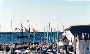 The harbour